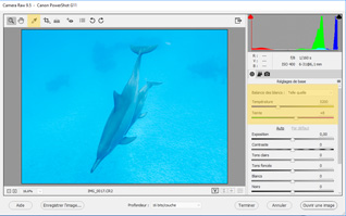 Fenêtre Camera Raw