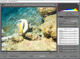 Fenêtre Camera Raw