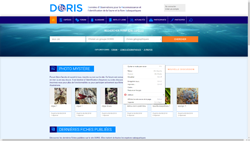 accueil site Doris