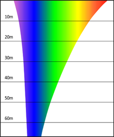 Absorption de la lumière