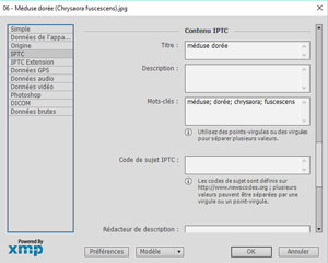 visualisation des IPTC